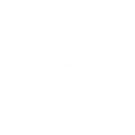 Citadel-logo-1